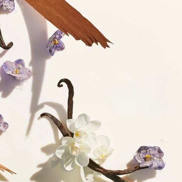 Sol de Janeiro: Delícia Drench™ Body Butter (2.5 OZ) - Picture 4 of 6